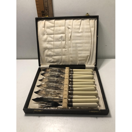 Lot 47        