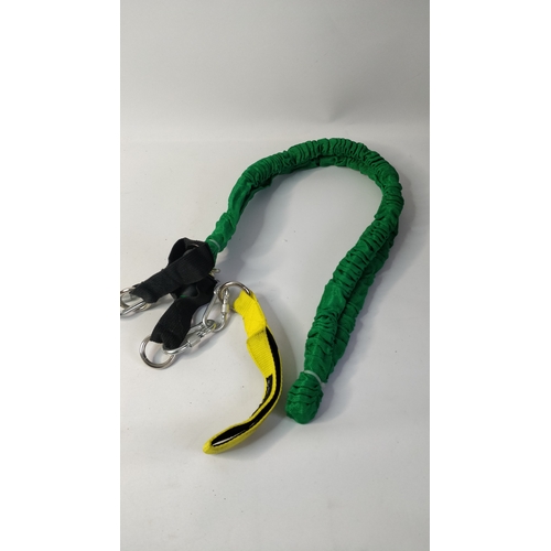 Lot 251       