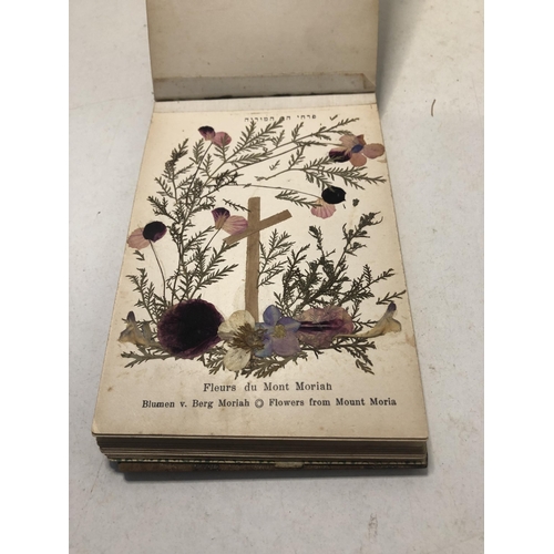 141 - Vintage book of pressed flowers of the 'Holy Land Jerusalem