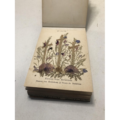 141 - Vintage book of pressed flowers of the 'Holy Land Jerusalem