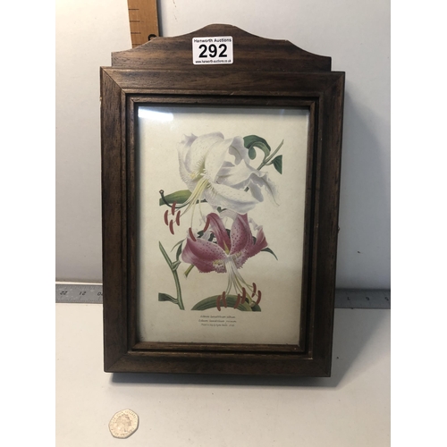 Lot 292       