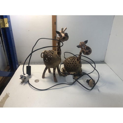 Lot 14        