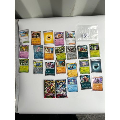 Lot 13        