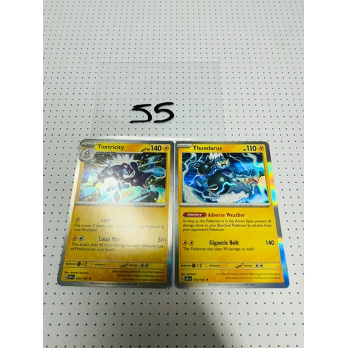 Lot 55        