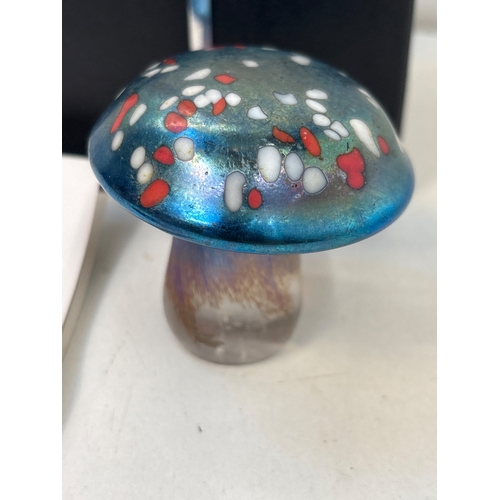 66 - Norman Stuart Clarke glass mushroom ornament with original box.