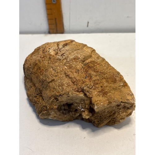 30 - Fossilized rock with crystalline interior details.