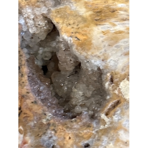 30 - Fossilized rock with crystalline interior details.