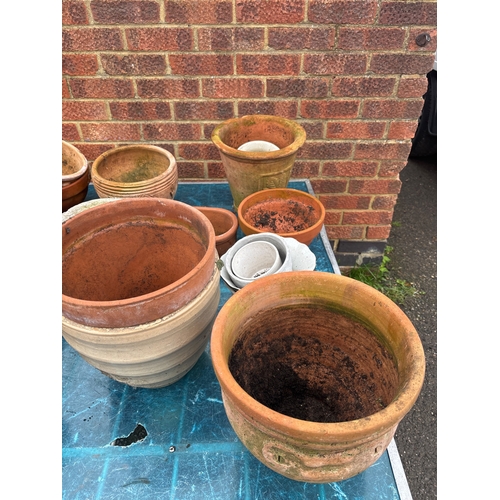 1 - Terracotta and ceramic garden pots. Includes various sizes and designs, some with signs of use and w... 