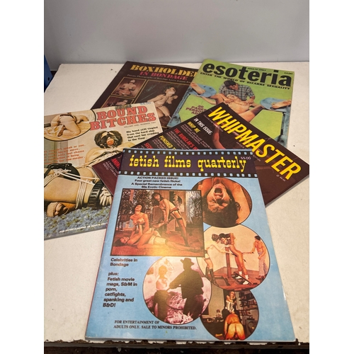 73 - 1970s adult magazines with mature content themes.