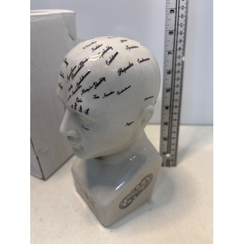 82 - Porcelain phrenology head statue with labeled sections; includes box.