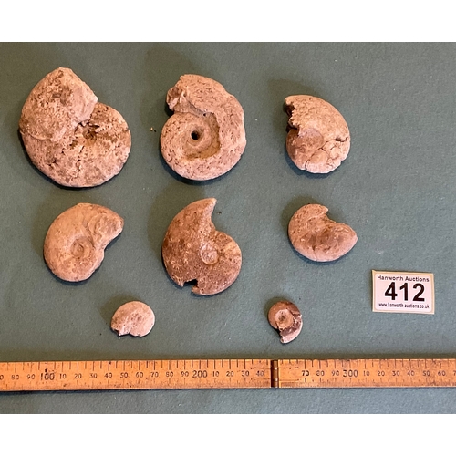 412 - Ammonite Fossils (8)