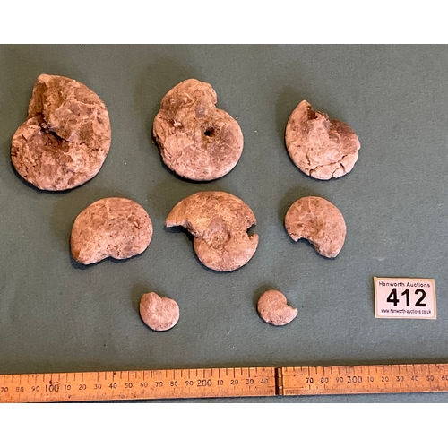 412 - Ammonite Fossils (8)