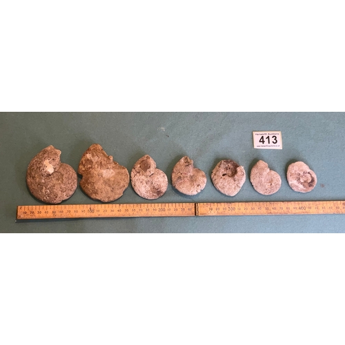 413 - Ammonite Fossils (7)