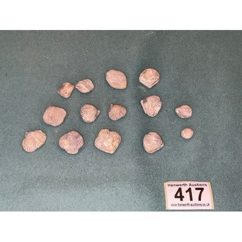 417 - Fossil Selection (14)