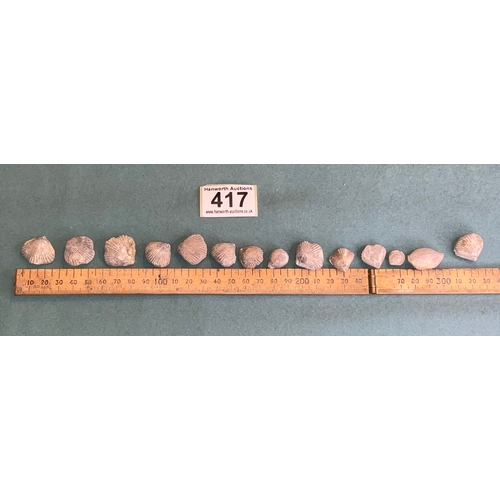 417 - Fossil Selection (14)