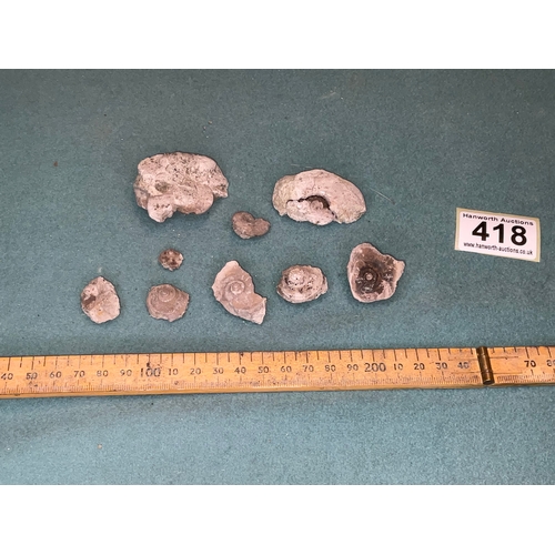 418 - Fossil Selection (9)