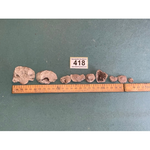 418 - Fossil Selection (9)