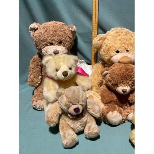 438 - Large Teddy Bears (8)