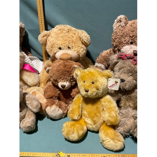 438 - Large Teddy Bears (8)