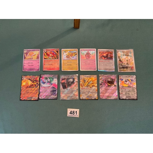 Lot 481       