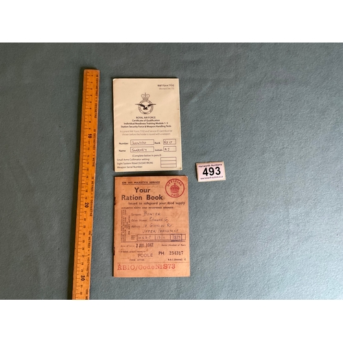 Lot 493       