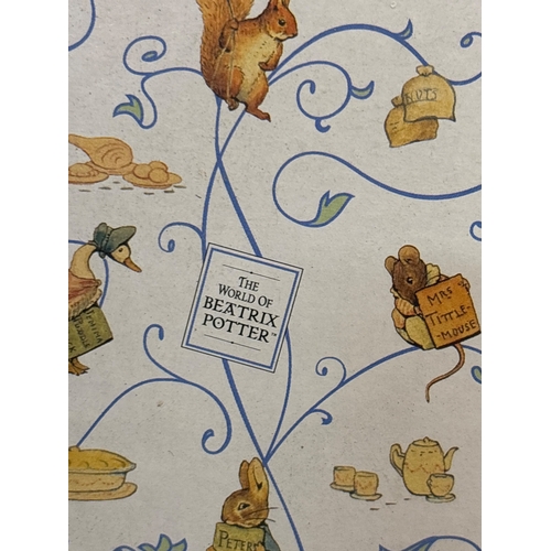 89 - Beatrix Potter themed frame featuring Hunca Munca.