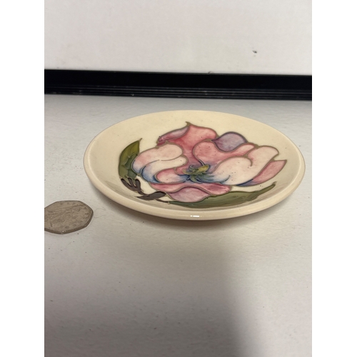 Lot 26        