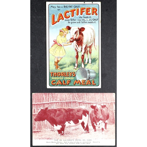 1 - ADVERTISING POSTCARDS 1909 Calthrop's Extra Oil Cake, and 1916 Thorleys Calf Meat (small tear) used.... 