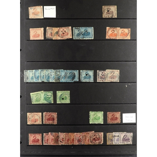 145 - AUSTRALIAN STATES WESTERN AUSTRALIA 1854-1912 a specialists mint and used range on stock pages, larg... 