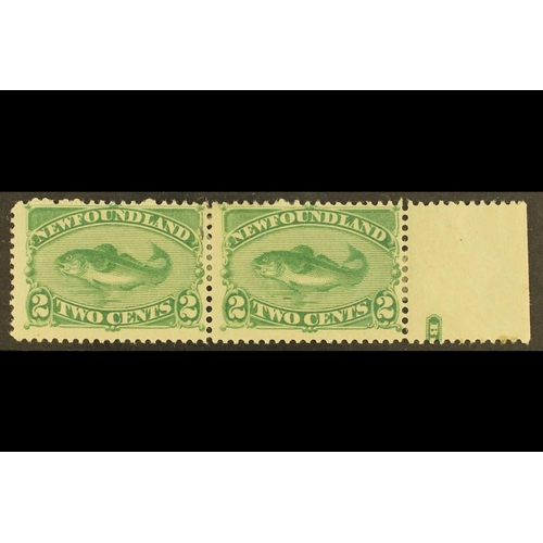 110 - CANADA - NEWFOUNDLAND 1896-98 2c green Cod Fish, Re-issue, SG 64, fine mint marginal horizontal pair... 