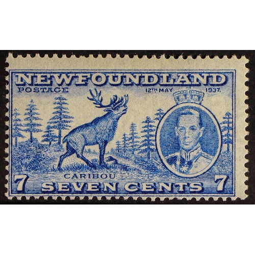 112 - CANADA - NEWFOUNDLAND 1937 7c bright ultramarine, Coronation, comb perf 13, SG 259d, never hinged mi... 