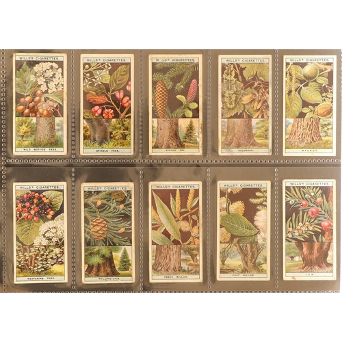 14 - CIGARETTE CARDS ranges in slot in album, further plastic sleeves, and loose in a tin, some stuck dow... 