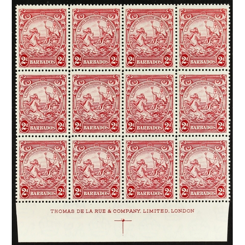 Lot 239       