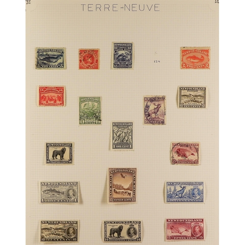 128 - TOPICALS WILDLIFE ON STAMPS mostly mint collection of all world 20th century issues in an album, wit... 