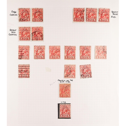 157 - AUSTRALIA 1913-14 1d KGV HEAD (SG 17/17c) SPECIALISED COLLECTION mint (including much never hinged) ... 