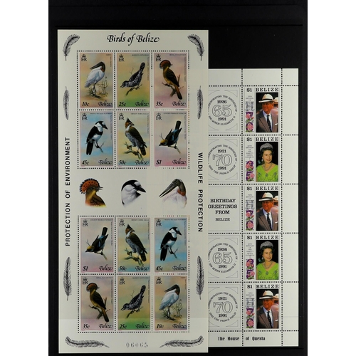 272 - BELIZE 1973-93 NEVER HINGED MINT collection of complete sets & sheetlets, incl. some sets in pairs o... 