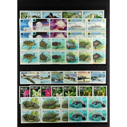 272 - BELIZE 1973-93 NEVER HINGED MINT collection of complete sets & sheetlets, incl. some sets in pairs o... 