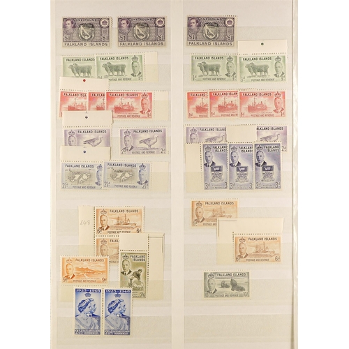 399 - FALKLAND IS. KGVI MINT (MUCH NEVER HINGED) RANGES incl. 1938-50 shades and multiples to 2s6d (5), 5s... 