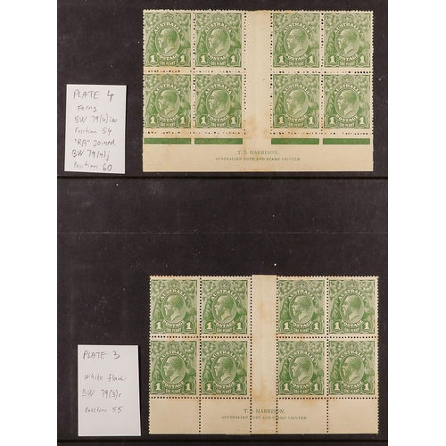 103 - AUSTRALIA 1924-25 1d sage-green Head no watermark (SG 83) mint study collection on pages, includes P... 