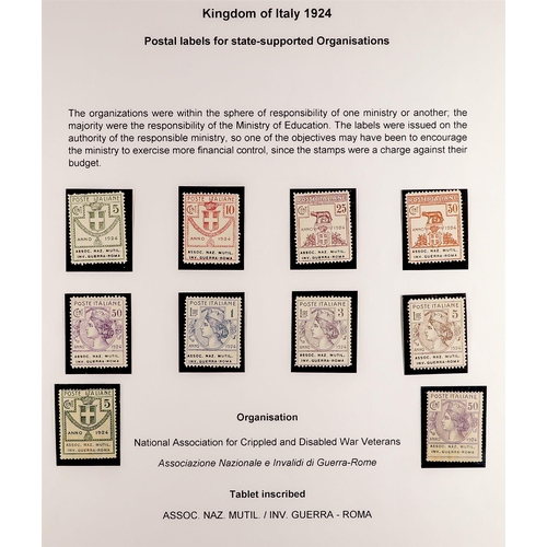 407 - ITALY STATE SUPPORTED SEMI OFFICIAL ORGANISATIONS (PARASTATALI) 1924 complete collection , Sass S.29... 