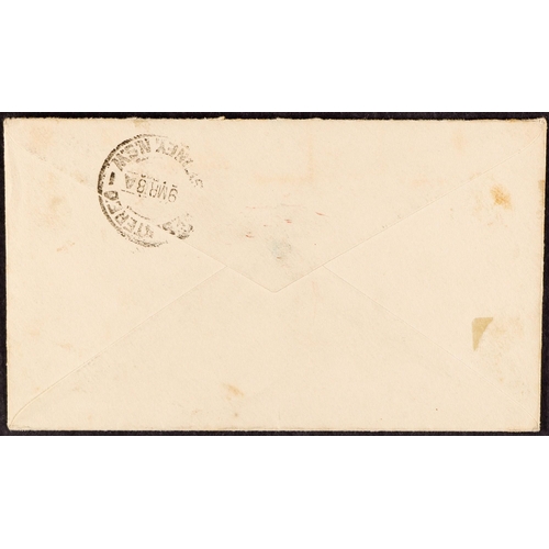 599 - NEW GUINEA N.W.P.I. 1918 (January) a neat 