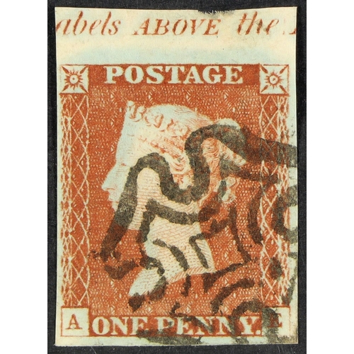 Lot 795       