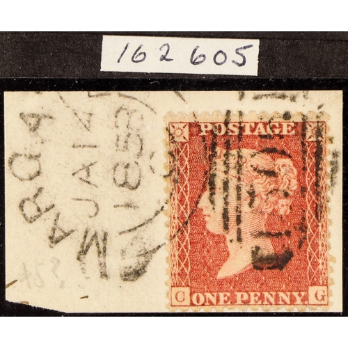 Lot 846       