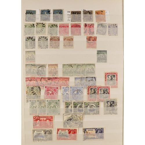 80 - COLLECTIONS & ACCUMULATIONS BRITISH COMMONWEALTH An extensive, mint & used range in 12 VOLUMES with ... 