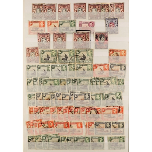 88 - COLLECTIONS & ACCUMULATIONS AFRICA 1880's-1980's MINT & USED ranges in 10 volumes incl. KUT with KGV... 