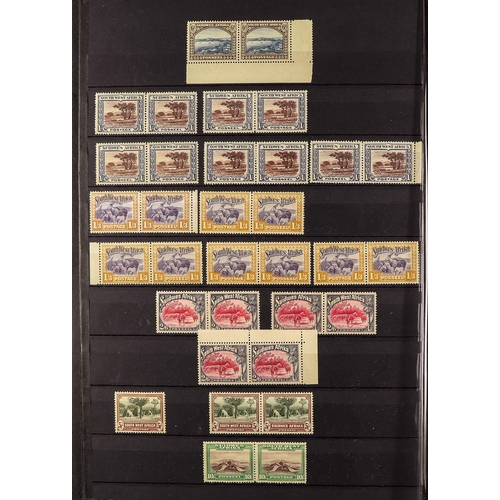 1017 - SOUTH WEST AFRICA 1926-1966 MINT RANGES with some never hinged. Incl. (all mentioned pairs are horiz... 