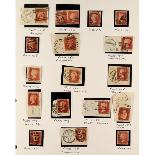 1131 - GREAT BRITAIN 1840 - 1970 mint and used collection in a Stanley Gibbons album. Includes 1840 Penny B... 