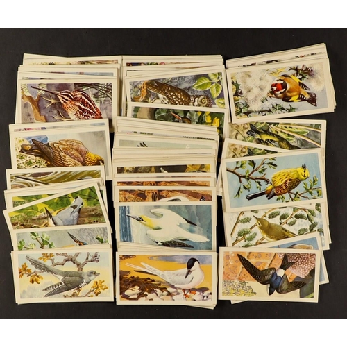 19 - TEA CARDS 1950's-90's mainly Brooke Bond, a collection of sets or part sets in packets, filed in a w... 