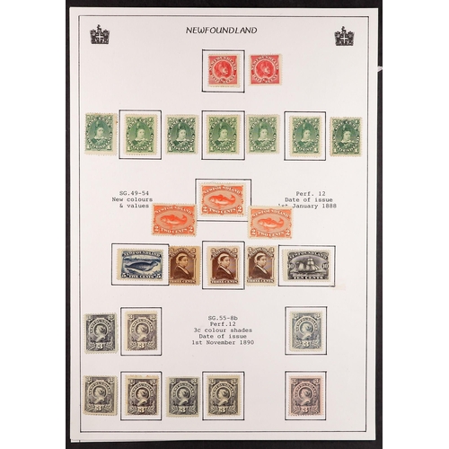 274 - CANADA - NEWFOUNDLAND 1880-1908 MINT COLLECTION incl. 1880-82 1c (x7), 2c, 3c (x2) & 5c (x2), 1887 ½... 