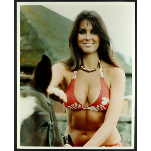 82 - TV AND FILM PRINTS. Includes Pippa Steele, Valerie Leon, Ralph Bates, Sid James, Caroline Munro, Vet... 